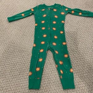 Hanna Andersson Lion pjs